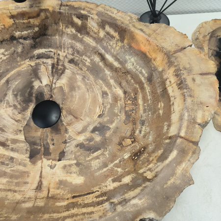 Раковина из окаменелого дерева Fossil Basin OD-02454 (69*52*16) 0090