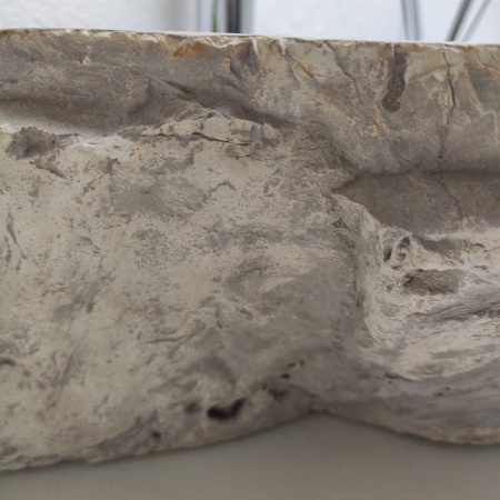 Раковина из окаменелого дерева Fossil Basin OD-01296 (57*36*15) 