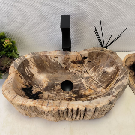 Раковина из окаменелого дерева Fossil Basin OD-02406 (55*32*14) 0088