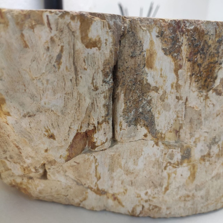Раковина из окаменелого дерева Fossil Basin OD-01230 (61*40*15) 