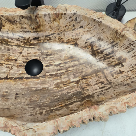 Раковина из окаменелого дерева Fossil Basin OD-02457 (84*42*15) 0090