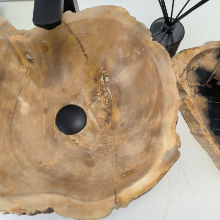 Раковина из окаменелого дерева Fossil Basin OD-02341 (42*38*15) 0088