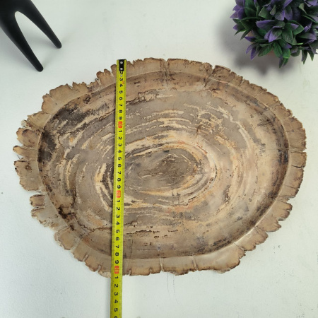 Набор из окаменелого дерева 4 предм Fossil Set NF-03060 поднос 31см*42см