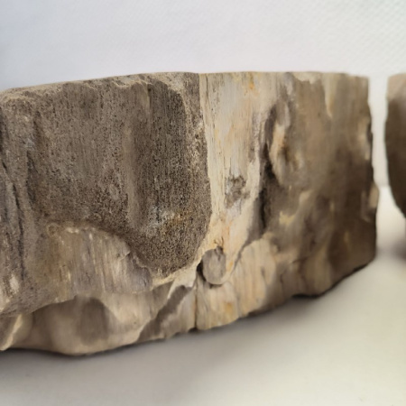 Раковина из окаменелого дерева ПАРА!! Fossil Basin OD-02097 (58*44*16) 0092