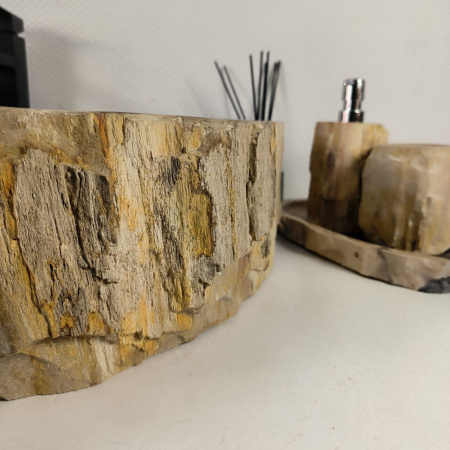 Каменная раковина из окаменелого дерева OD-04459 (77*55*16) 0178 из натурального камня