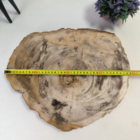 Набор из окаменелого дерева 4 предм Fossil Set NF-03064 поднос 33см*39см
