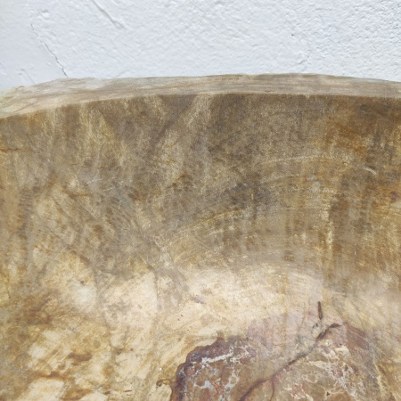 Раковина из окаменелого дерева Fossil Basin OD-01216 (76*46*15) 