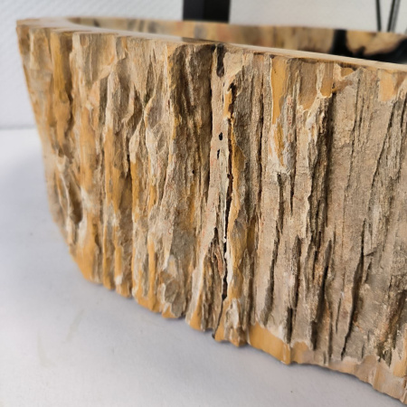Раковина из окаменелого дерева Fossil Basin OD-02338 (55*48*15) 0092