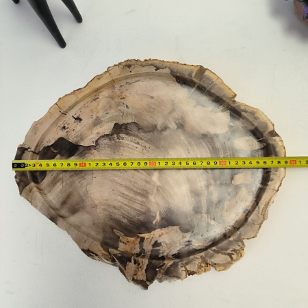 Набор из окаменелого дерева 4 предм Fossil Set NF-03071 поднос 33см*39см