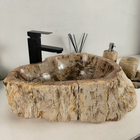 Каменная раковина из окаменелого дерева OD-04484 (55*38*15) 0176 из натурального камня