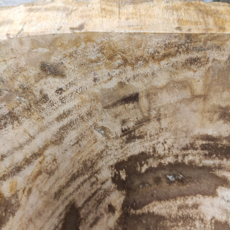 Раковина из окаменелого дерева Fossil Basin OD-01293 (47*48*15) 