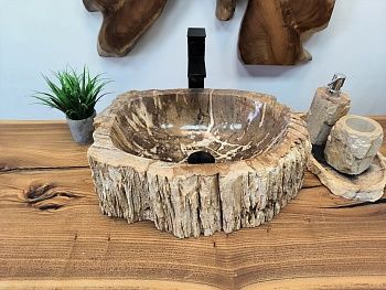 Раковина из окаменелого дерева OD-65689 47х34х15 из натурального камня