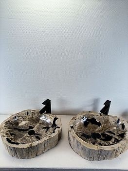 Раковина из окаменелого дерева ПАРА! OD-66224 60x47x15 натурального камня