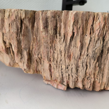 Раковина из окаменелого дерева Fossil Basin OD-02343 (83*40*16) 0091