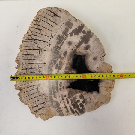 Набор из окаменелого дерева 4 предм Fossil Set NF-03294 поднос 149 
