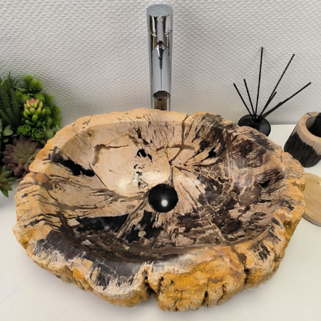 Раковина из окаменелого дерева Fossil Basin OD-02110 (55*40*16) 0088
