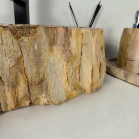 Каменная раковина из окаменелого дерева OD-04335 (55*36*15) 0175 из натурального камня