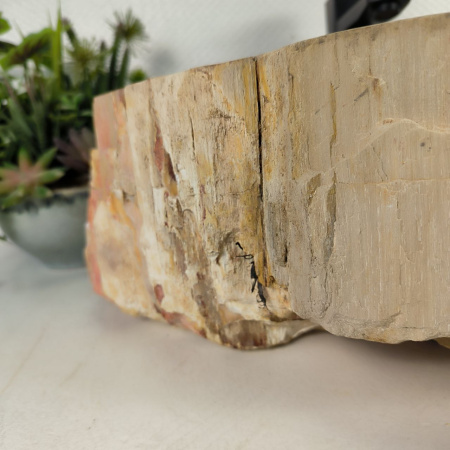 Каменная раковина из окаменелого дерева OD-04571 (52*38*15) 0175 из натурального камня