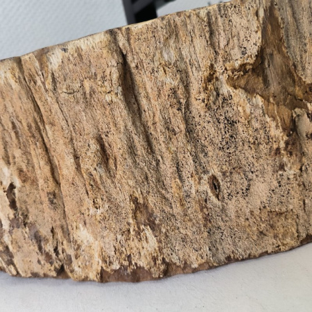 Раковина из окаменелого дерева Fossil Basin OD-02472 (70*35*15) 0090