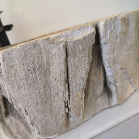 Раковина из окаменелого дерева ПАРА!! Fossil Basin OD-02480 (63*51*16) 0091