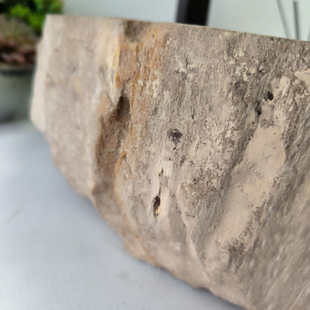 Раковина из окаменелого дерева Fossil Basin OD-02342 (50*44*15) 0088