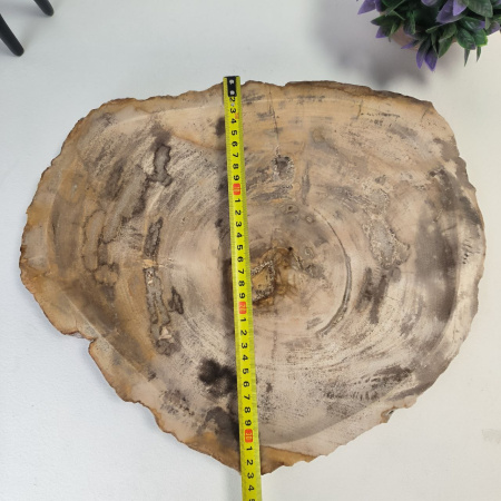 Набор из окаменелого дерева 4 предм Fossil Set NF-03064 поднос 33см*39см