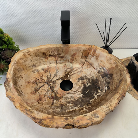Раковина из окаменелого дерева Fossil Basin OD-02436 (54*43*14) 0089
