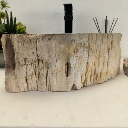 Раковина из окаменелого дерева Fossil Basin OD-02497 (38*38*15) 0092