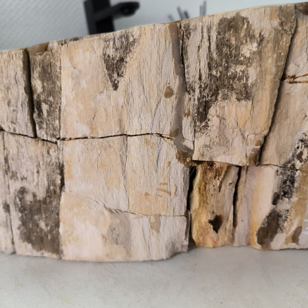 Раковина из окаменелого дерева Fossil Basin OD-02428 (63*52*15) 0089
