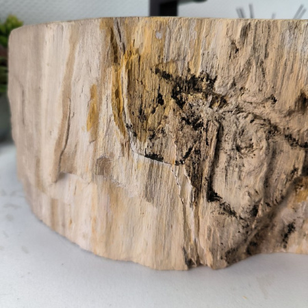 Раковина из окаменелого дерева Fossil Basin OD-02345 (59*43*14) 0089