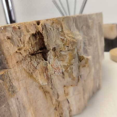 Раковина из окаменелого дерева Fossil Basin OD-02130 (52*42*15) 0088