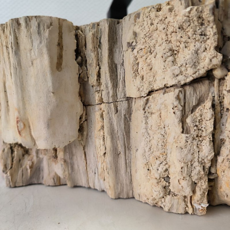 Раковина из окаменелого дерева Fossil Basin OD-02442 (48*37*15) 0088