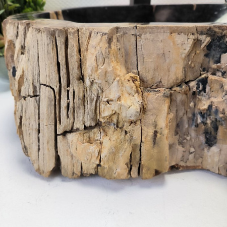 Раковина из окаменелого дерева Fossil Basin OD-02998 (55*43*16) 0089
