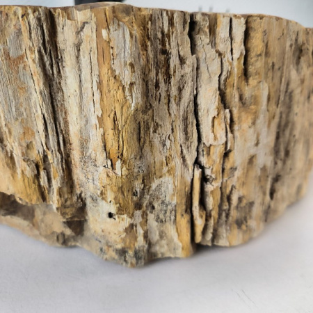 Раковина из окаменелого дерева Fossil Basin OD-02743 (48*44*16) 0089