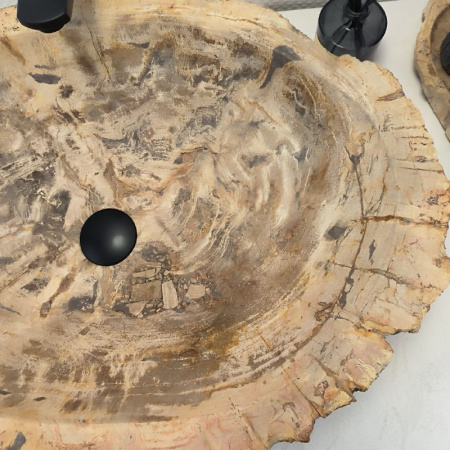 Раковина из окаменелого дерева Fossil Basin OD-02484 (67*44*16) 0091