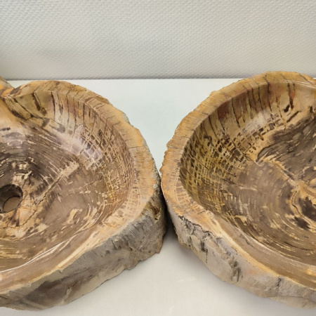 Раковина из окаменелого дерева ПАРА!! Fossil Basin OD-02103 (65*44*16) 0092
