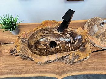 Раковина из окаменелого дерева OD-65683 60х36х15 из натурального камня