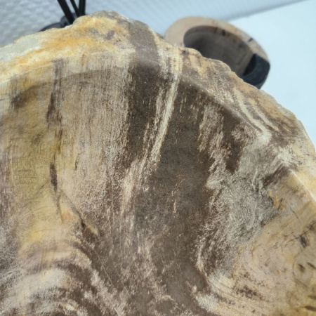 Раковина из окаменелого дерева Fossil Basin OD-02127 (47*37*16) 0088