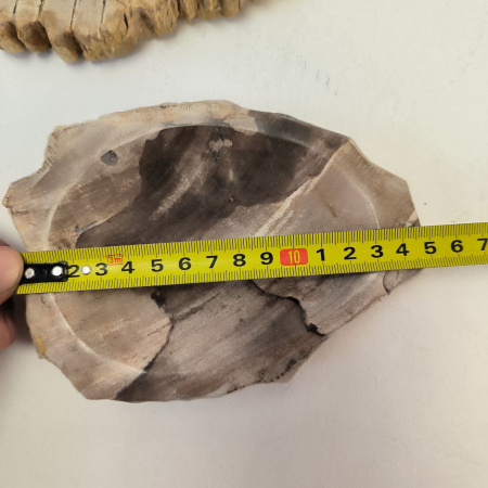 Набор из окаменелого дерева 4 предм Fossil Set NF-03286 поднос 149