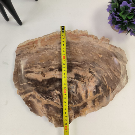 Набор из окаменелого дерева 3 предм Fossil Set NF-02865 поднос 30см*40см