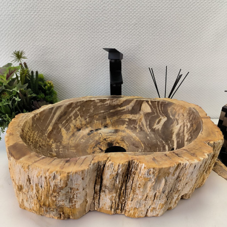 Раковина из окаменелого дерева Fossil Basin OD-02351 (57*40*16) 0089