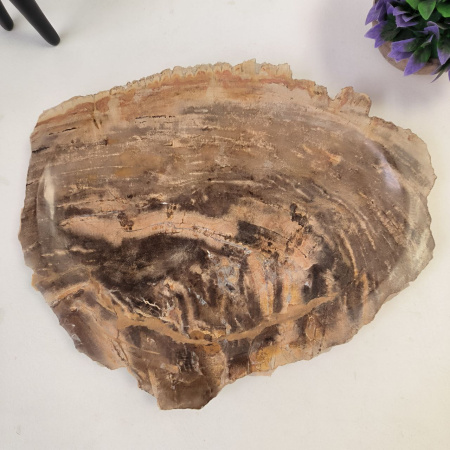 Набор из окаменелого дерева 3 предм Fossil Set NF-02865 поднос 30см*40см
