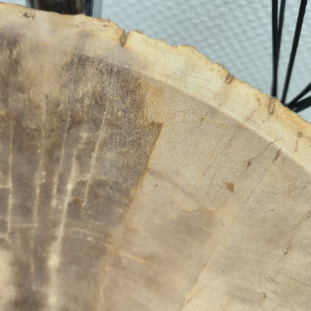Раковина из окаменелого дерева Fossil Basin OD-02115 (45*39*15) 0088