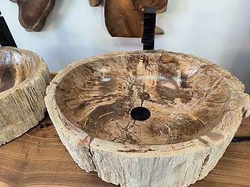 Раковина из окаменелого дерева OD-62102 56*47*15 из натурального камня