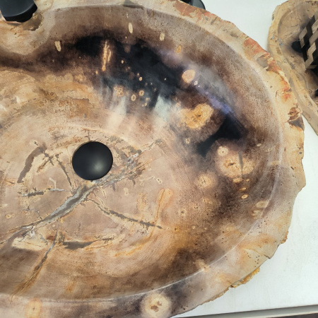 Раковина из окаменелого дерева Fossil Basin OD-02503 (61*48*16) 0089