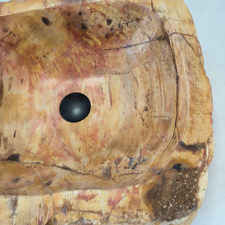 Раковина из окаменелого дерева ПАРА!! Fossil Basin OD-02447 (47*42*15) 0092