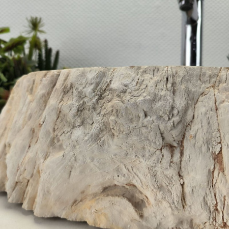 Раковина из окаменелого дерева Fossil Basin OD-02132 (54*34*16) 0088