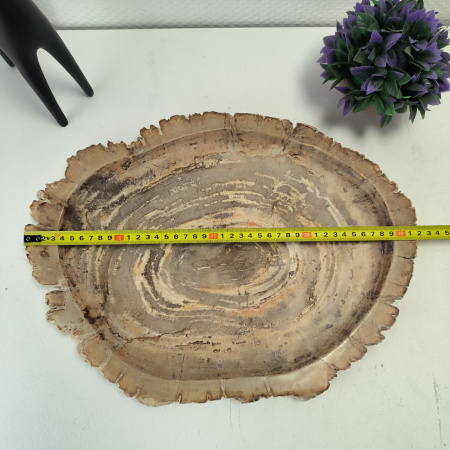 Набор из окаменелого дерева 4 предм Fossil Set NF-03060 поднос 31см*42см