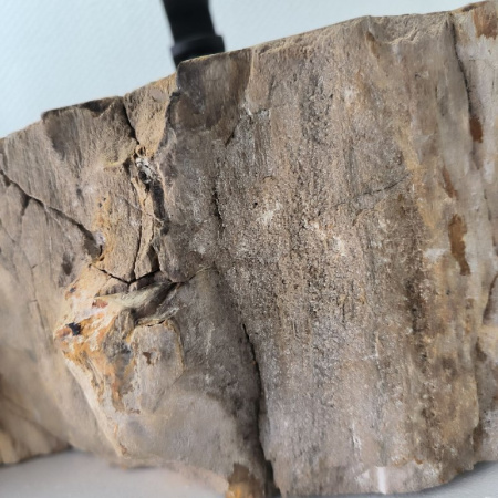 Раковина из окаменелого дерева Fossil Basin OD-02471 (50*32*15) 0092