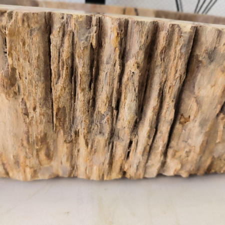 Раковина из окаменелого дерева Fossil Basin OD-02406 (55*32*14) 0088
